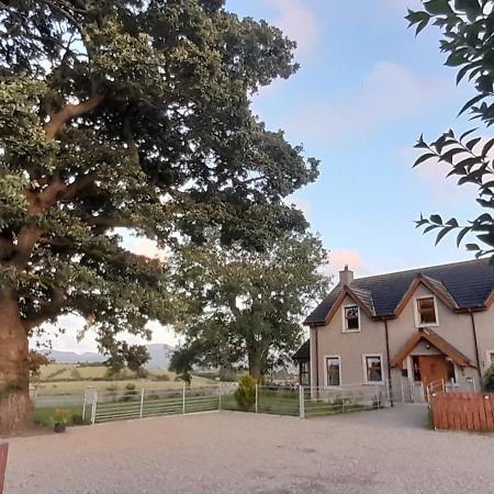 Willa Oaktree Manor Castlewellan Zewnętrze zdjęcie