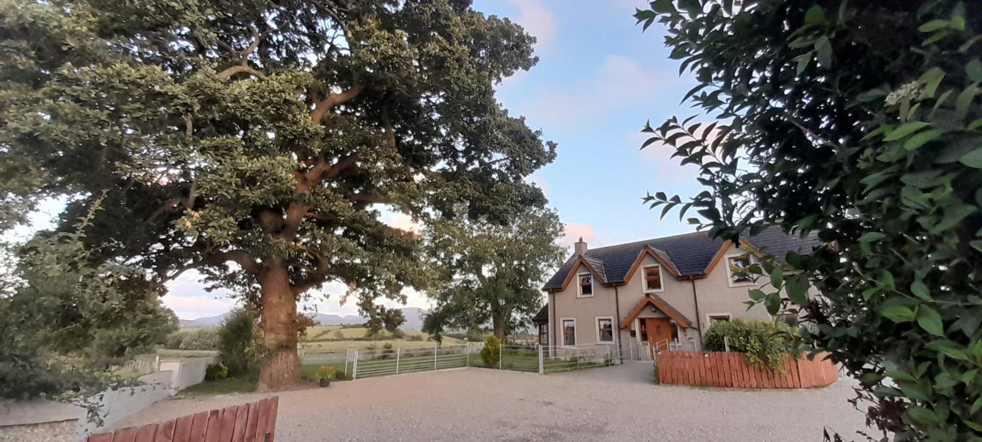 Willa Oaktree Manor Castlewellan Zewnętrze zdjęcie
